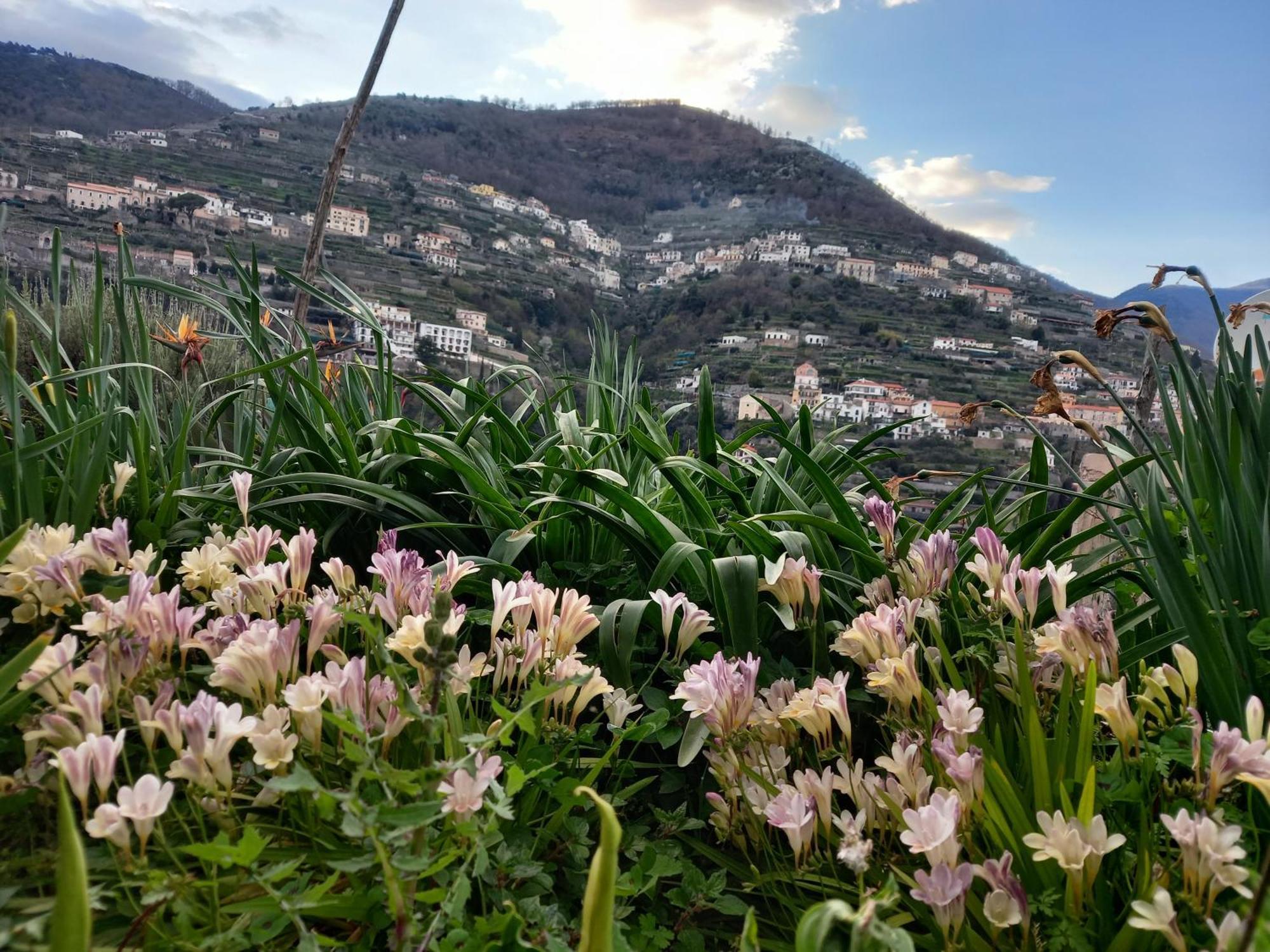 La Margherita Fiorita Ravello Ngoại thất bức ảnh