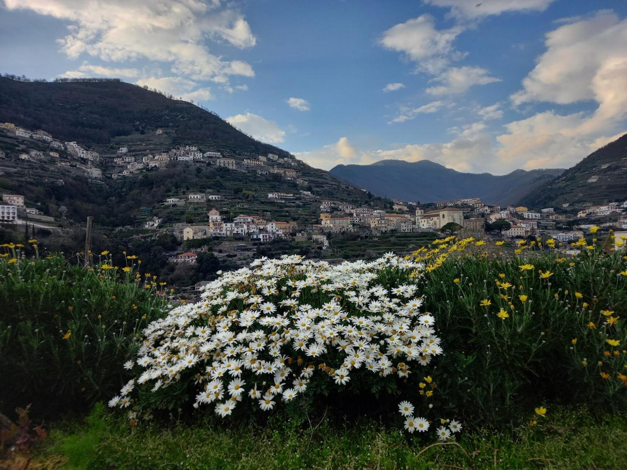 La Margherita Fiorita Ravello Ngoại thất bức ảnh